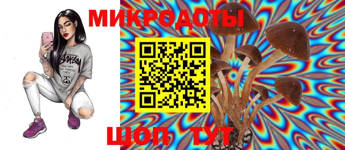 Бутурлиновка  как найти   Вход с VPN  Галлюциногенные грибы GOLDEN TEACHER 